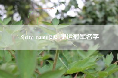 宜昌2024奥运冠军名字