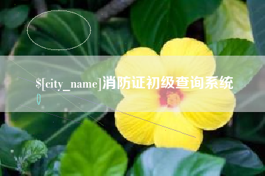 宜昌消防证初级查询系统
