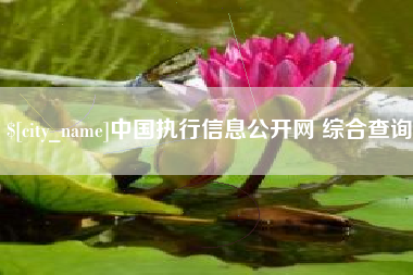 宜昌中国执行信息公开网 综合查询