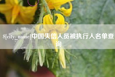 宜昌中国失信人员被执行人名单查询