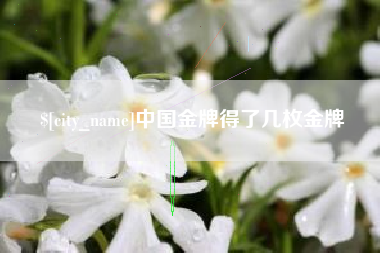 宜昌中国金牌得了几枚金牌
