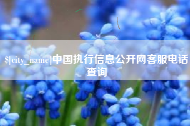宜昌中国执行信息公开网客服电话查询