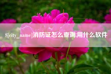 宜昌消防证怎么查询,用什么软件