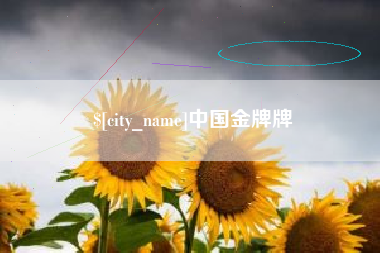 宜昌中国金牌牌