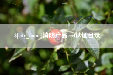 宜昌消防产品cccf认证目录
