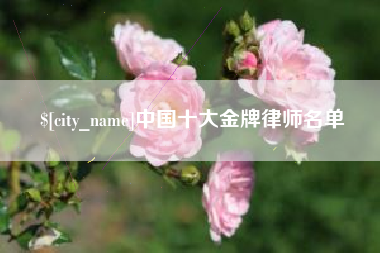 宜昌中国十大金牌律师名单