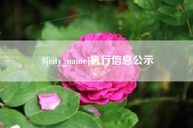 宜昌执行信息公示