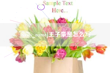 宜昌王子豪是怎么写