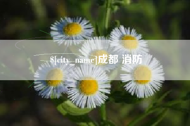 宜昌成都 消防