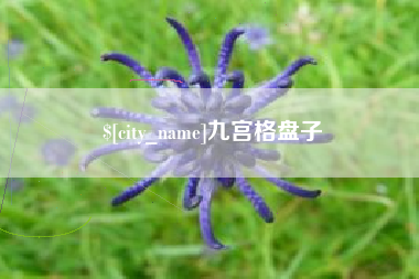 宜昌九宫格盘子