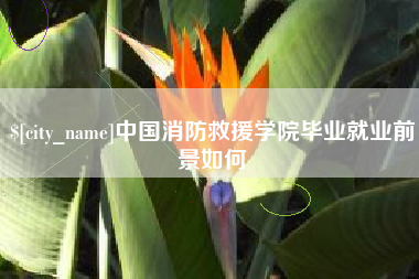 宜昌中国消防救援学院毕业就业前景如何