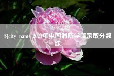 宜昌2021年中国消防学院录取分数线
