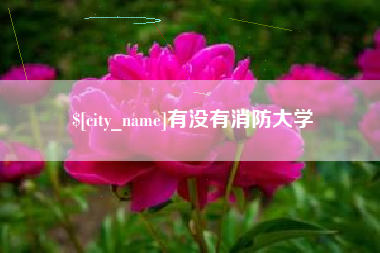 宜昌有没有消防大学