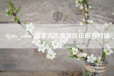 宜昌国家消防救援队伍报名网址