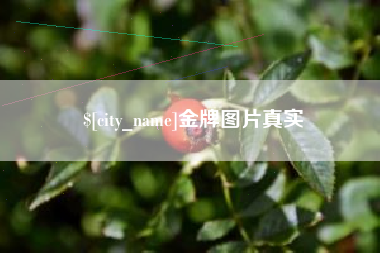 宜昌金牌图片真实