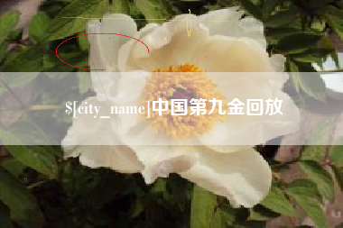 宜昌中国第九金回放