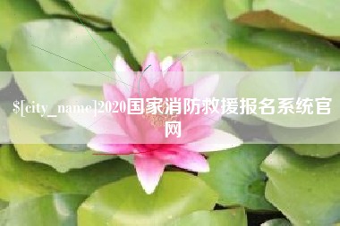 宜昌2020国家消防救援报名系统官网