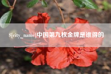 宜昌中国第九枚金牌是谁得的