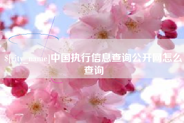 宜昌中国执行信息查询公开网怎么查询