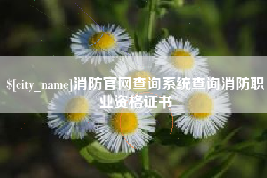 宜昌消防官网查询系统查询消防职业资格证书