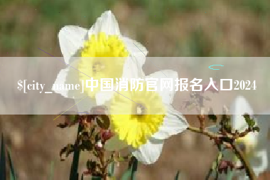 宜昌中国消防官网报名入口2024