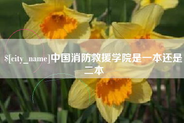 宜昌中国消防救援学院是一本还是二本