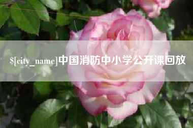 宜昌中国消防中小学公开课回放