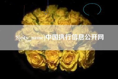 宜昌中国执行信息公开网