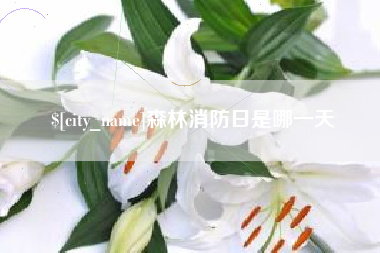 宜昌森林消防日是哪一天