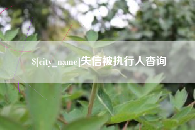 宜昌失信被执行人杳询