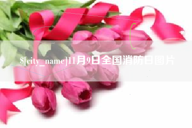 宜昌11月9日全国消防日图片