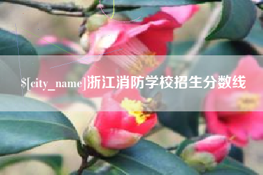 宜昌浙江消防学校招生分数线