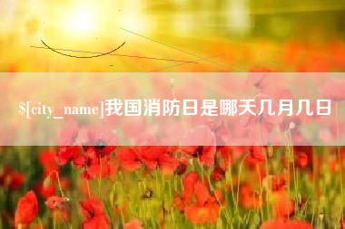 宜昌我国消防日是哪天几月几日