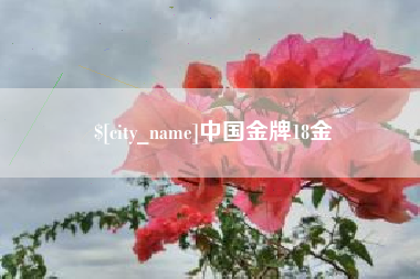 宜昌中国金牌18金