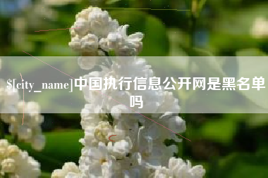 宜昌中国执行信息公开网是黑名单吗