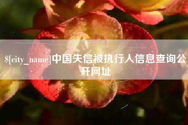 宜昌中国失信被执行人信息查询公开网址