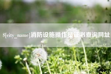 宜昌消防设施操作员证书查询网址