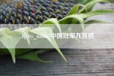 宜昌中国冠军九宫格