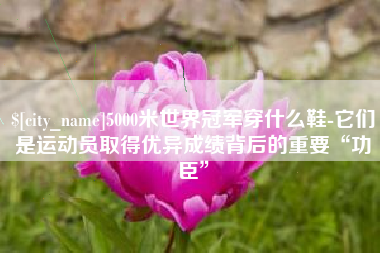 宜昌5000米世界冠军穿什么鞋-它们是运动员取得优异成绩背后的重要“功臣”