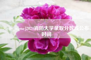 宜昌2024消防大学录取分数线公布时间