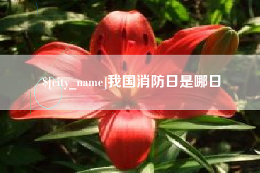 宜昌我国消防日是哪日