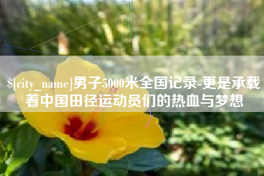 宜昌男子5000米全国记录-更是承载着中国田径运动员们的热血与梦想