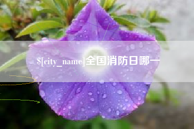 宜昌全国消防日哪一