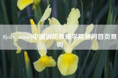 宜昌中国消防救援学院官网首页查询