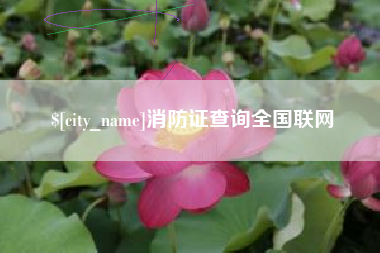 宜昌消防证查询全国联网
