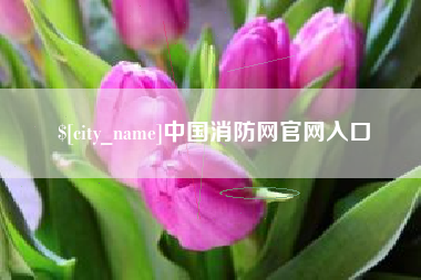 宜昌中国消防网官网入口
