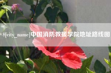 宜昌中国消防救援学院地址路线图