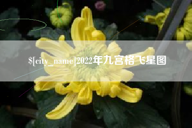 宜昌2022年九宫格飞星图