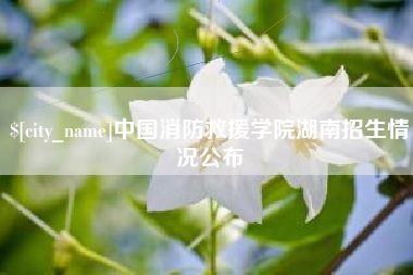 宜昌中国消防救援学院湖南招生情况公布