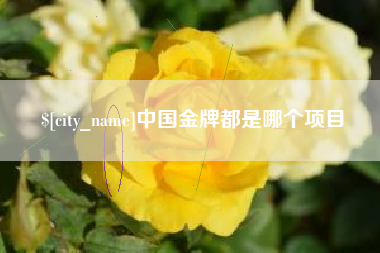 宜昌中国金牌都是哪个项目